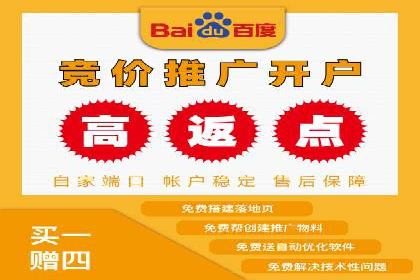 专业SEM服务公司案例分析报告